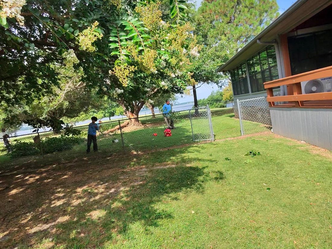 Trees and a lawn beside a house, with a worker in blue standing in the distance