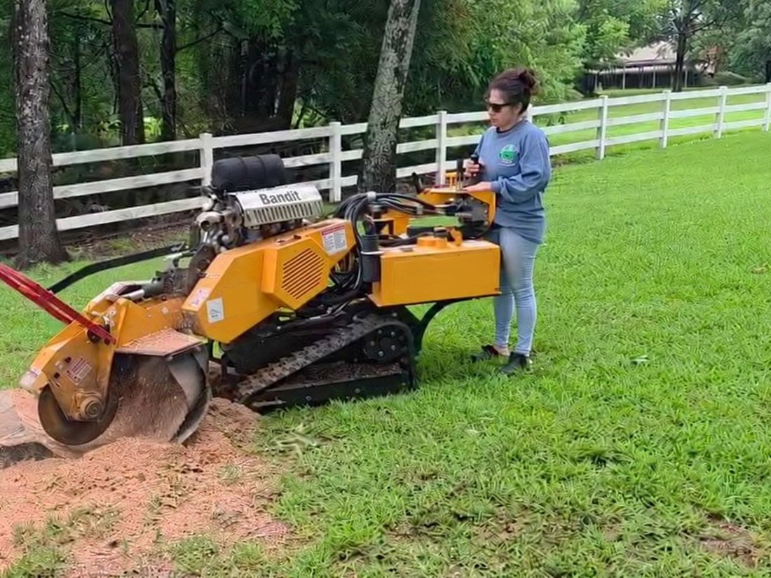 A crew member operates a yellow Bandit stump grinder on a stump in a lawn, throwing wood chips