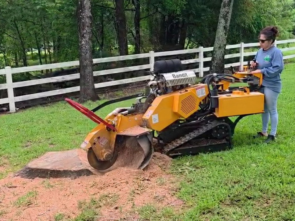 A crew member operates a yellow Bandit stump grinder on a stump in a lawn, throwing wood chips